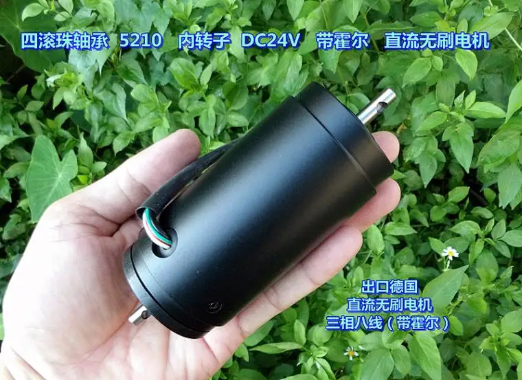 Четыре выхода Германии DC24V-phase восьмипроводной шарикоподшипник ротора бесщеточный двигатель постоянного тока с Холлом