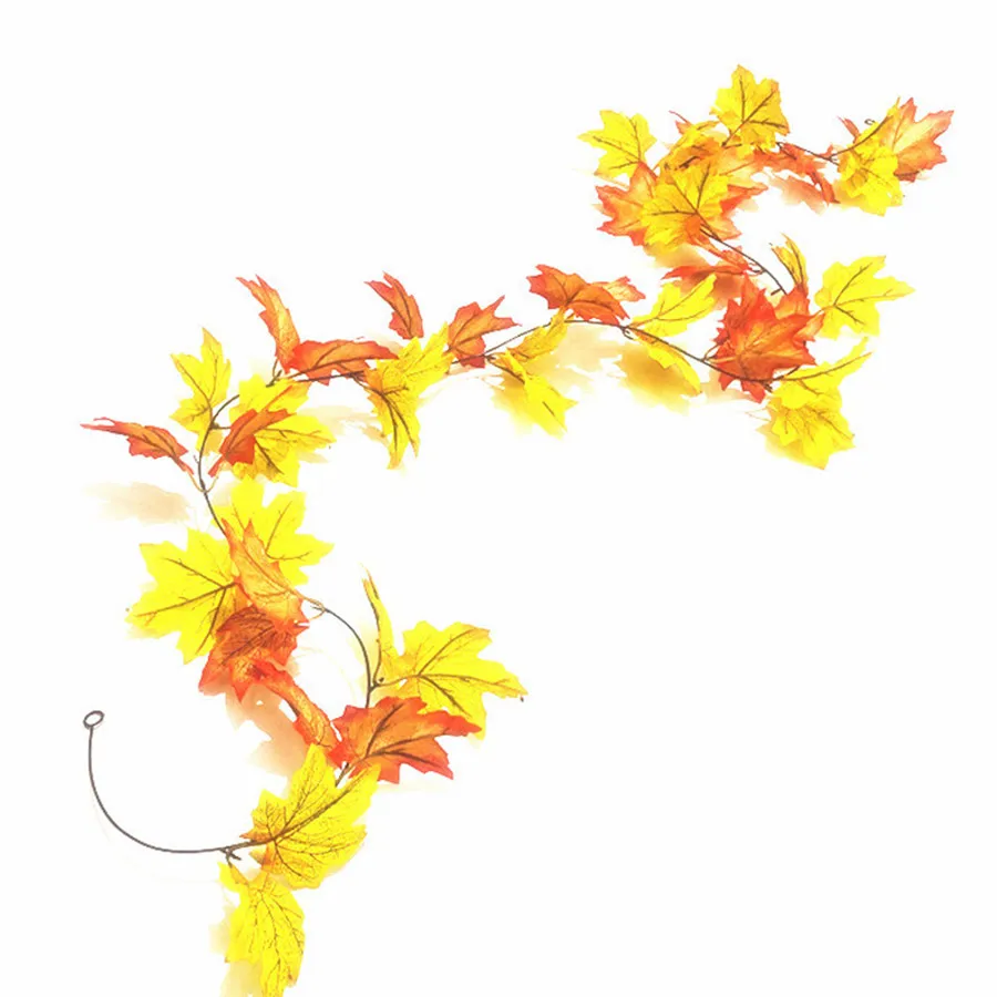 10997122296_171548661