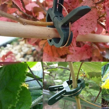 

100pcs Plastic Garden Plant Support Clip Vines Straigthening Loop Gripper Home Stalk Supporting Tool