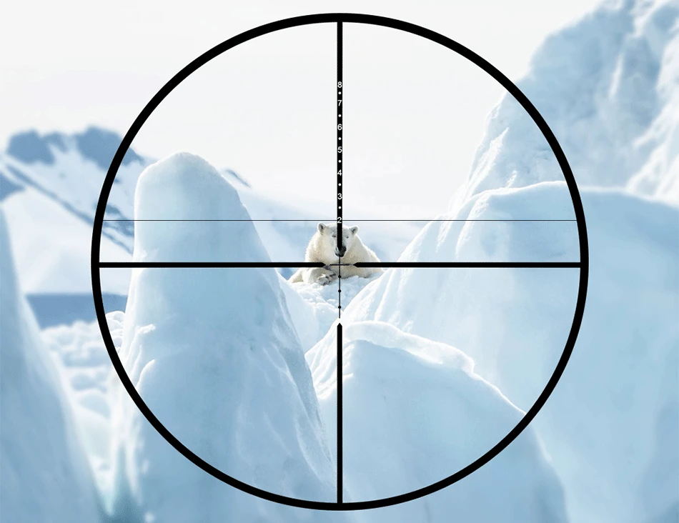 5.gif