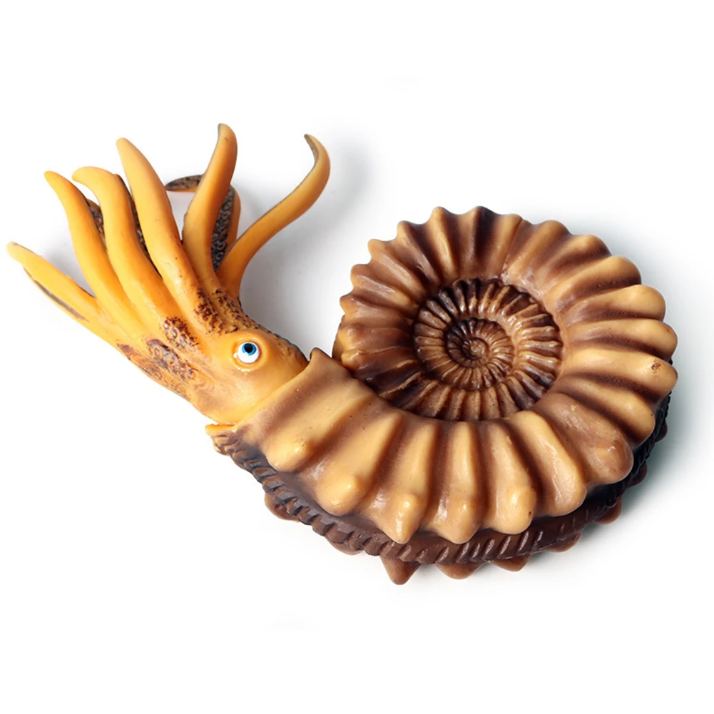 2 шт. имитация Nautilus Shell океан фигурки животных детские развивающие игрушки подарок