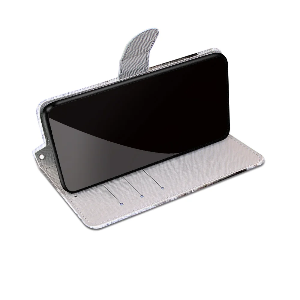 B20斜帽蓝镜猫 -9.JPG