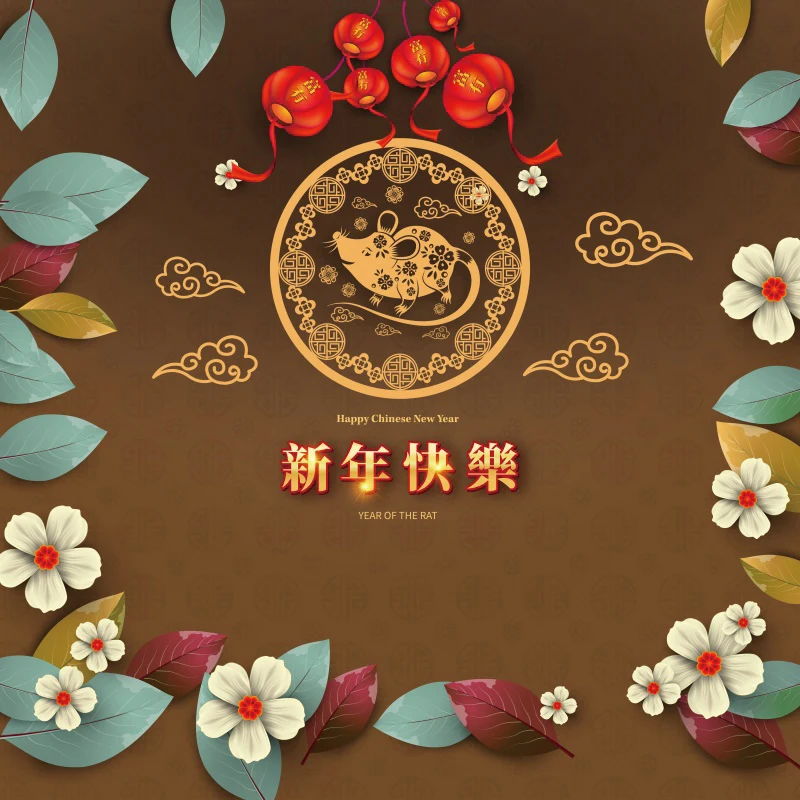 Leowefowa 15x8ft Happy Chinese New Year 2020 Year of The Rat Backdrop Vinyl Chinese Style Mouse Paper-Cut Flowers Old Lanterns Red Photography Background New Year Party Banner Wallpaper
