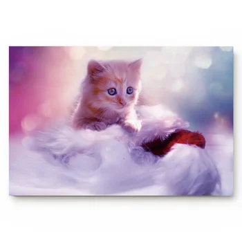 

Cute Kitten Staring Non-slip Doormat Bathroom Accessories Set Floor Carpet Home Decor