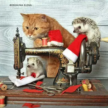 

Diamond Embroidery Animal hedgehog 5D DIY Diamond Painting Santa Claus Rhinestone Picture Mosaic Home Decoration Wall sticker