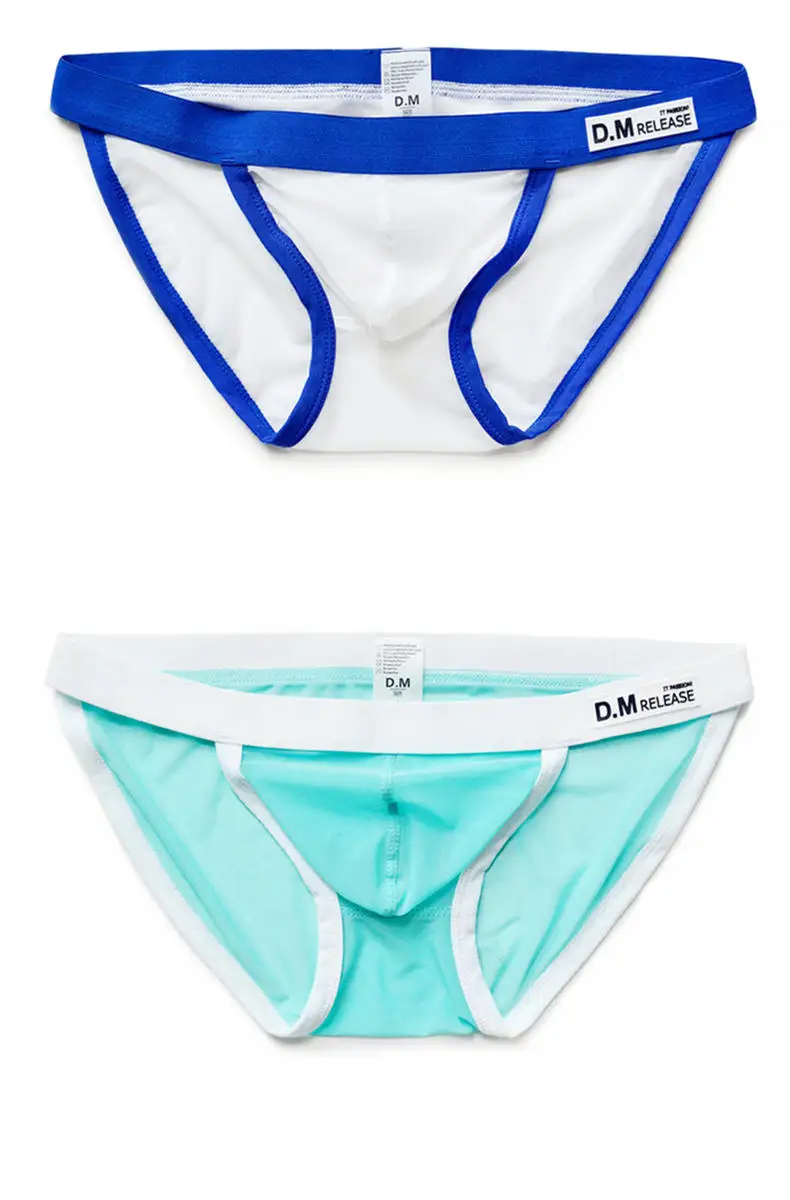 Transparent Mesh Briefs Sexy Underwear 