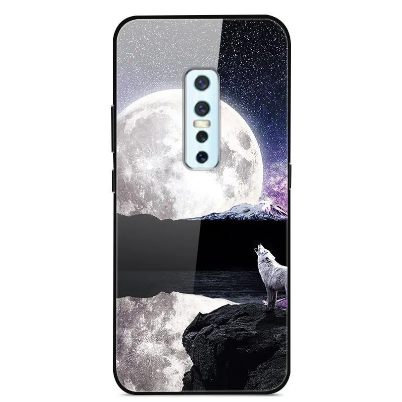 Чехол для Vivo V17 Pro, жесткая стеклянная задняя крышка, чехол для телефона, чехол для Vivo V17 Pro, чехол, TPU бампер, закаленное стекло для Vivo V17 Pro V17Pro