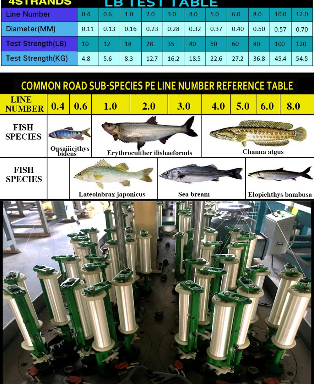 详图---副本-(2)_03