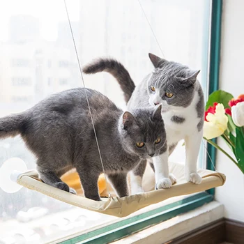 

Window Mounted Pet Bed Suction Cup Hanging Sunshine Hammock Perch Cushion for Cat QP2