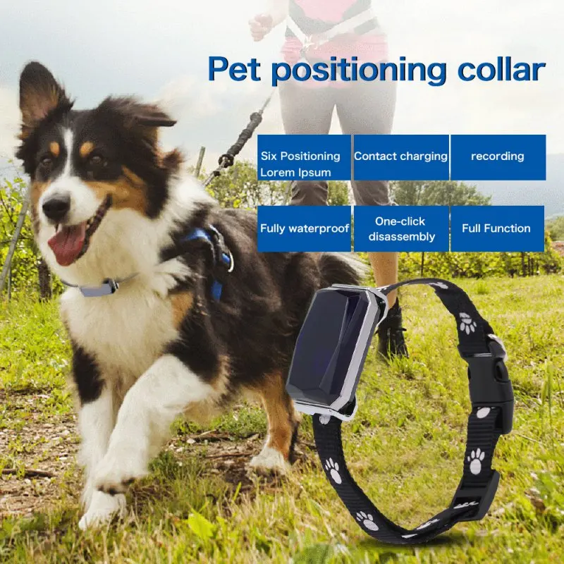 Precio Especial Rastreador GPS inteligente para mascotas, Collar de posicionamiento para perros y gatos, IP67 AGPS LBS, posicionamiento Geofence SOS, seguimiento antipérdida en tiempo Real dmx5MZyXlBX