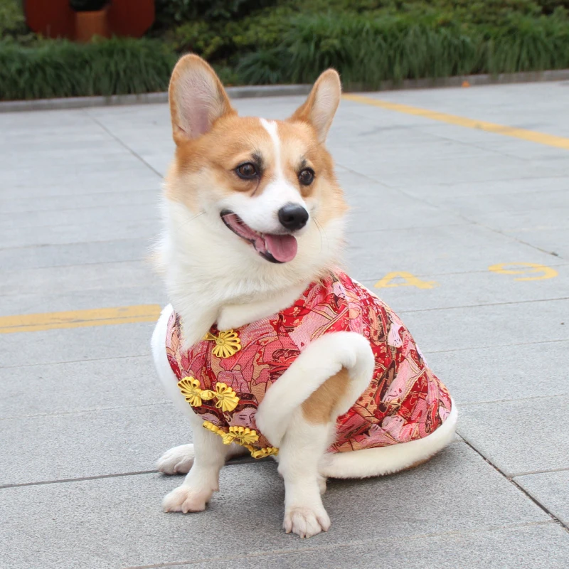 Китайский год одежда для собак Тан костюм Cheongsam вельш корги Одежда Пудель домашний питомец породы Бишон зимнее пальто куртка одежда для собак костюм