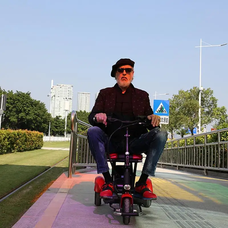 Electric Kick Scooter Adult Three Wheel Electric Scooters Tricycle 36V 300W Portable Folding Electric Elderly Scooter (1)