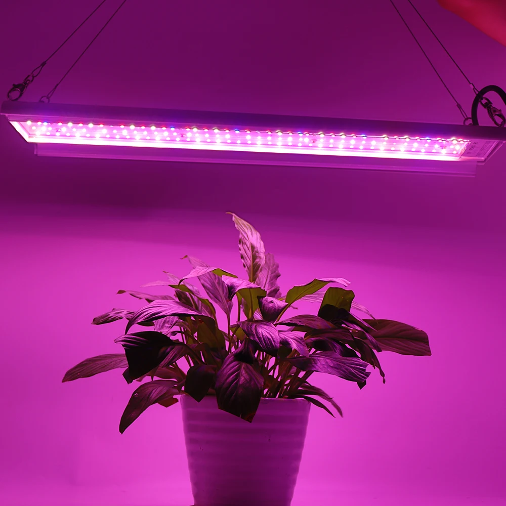 Полный спектр светодиодный свет для выращивания 100 Вт 110 В 220 В фитоламп Крытый тепличная Палатка Лампа для выращивания Гидропонные