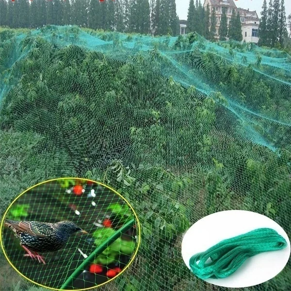 Red protectora antiaves de 2m / 4m x 10m, red para árboles, cultivo de frutas, malla para estanque de jardín