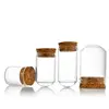 5pcs Home Decor Vases Glass Flower Display Cloche Bell Jar Glass Bottle With Cork Base Dust Cover Display Immortal Flower Box 3