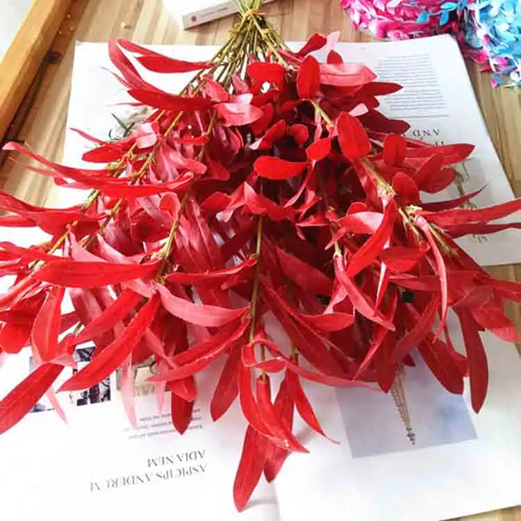 11398820481_1814581953