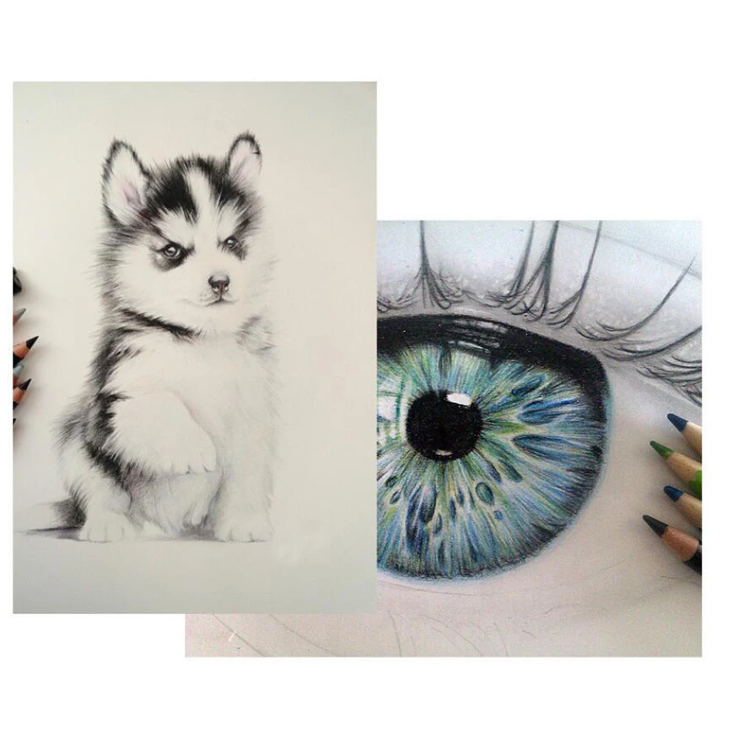 12x Rainbow Professional Oil Based Colored Pencils for Artist Kids Beginners Color Pencils for Coloring Drawing and Sketching