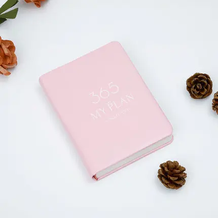 B6 Pink Высококачественный органайзер для ежедневника, уплотненный блокнот с полиуретановой обложкой для записи встреч, портативный ежедневник 365, ежедневник, блокнот B6 A5 - Цвет: B6 Pink