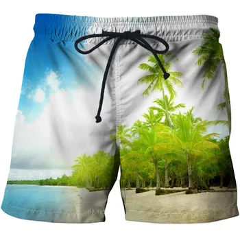 

New Casual 3D Board Shorts Men Sea Beach Printed Beach Shorts For Male Summer Sport Surfing Swiming Shorts Drop Ship