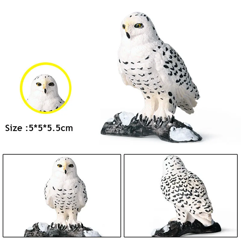Snowy Owl Bird Wildlife Figure Toy 264729 New Free Ship Details about   Safari Ltd 