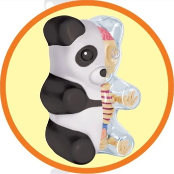 

Mighty Jaxx Little Gummy Bear Anatomy Panda 4D Authentic Artist