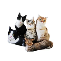 1PCS 50CM 3D Simulation Cat Plush Stuffed Soft Pillow Cute Lifelike Dog Sofa Bedroom Cushion Kids Toys Home Decoration Gifts 2