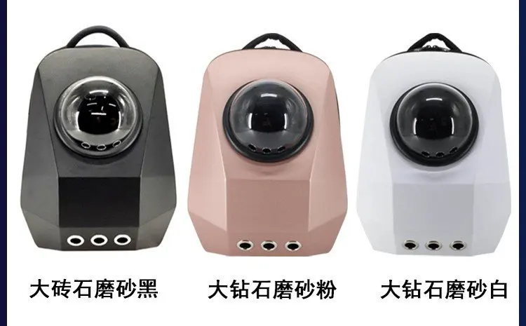 10723464938_345777210