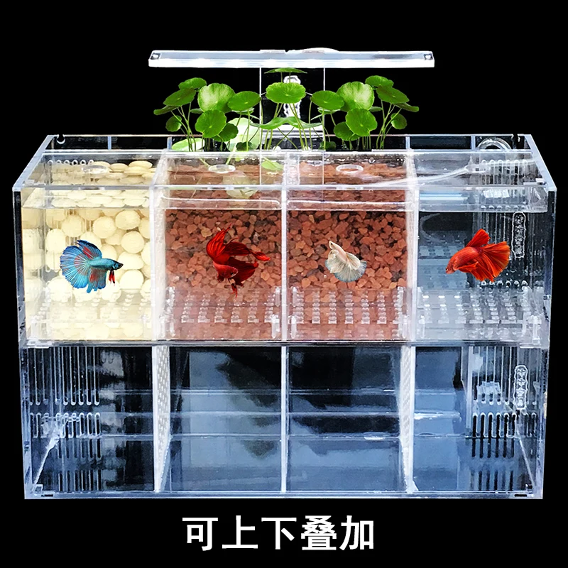 Betta аквариум Гуппи разведение инкубации изолирующая коробка акриловая специальная группа ряд цилиндр живой Рабочий стол экологическое творчество