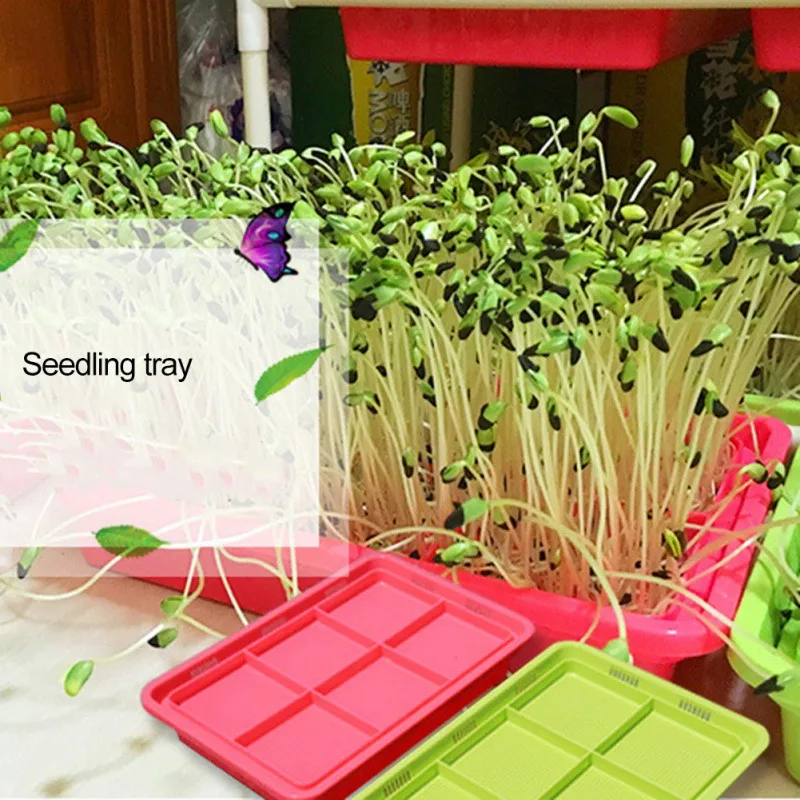 Проращиватель лоток-питомник двухслойный Soilless культуры бобы гидропоники лоток-питомник Hidroponia рассада поднос Садовые принадлежности