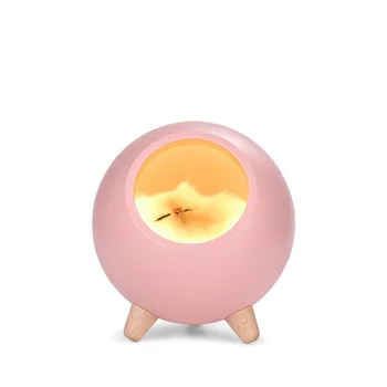 

Cute Small Night Light Small Pet House Atmospheres Light Usb Charging Girl Dormitory Bedroom WWO66