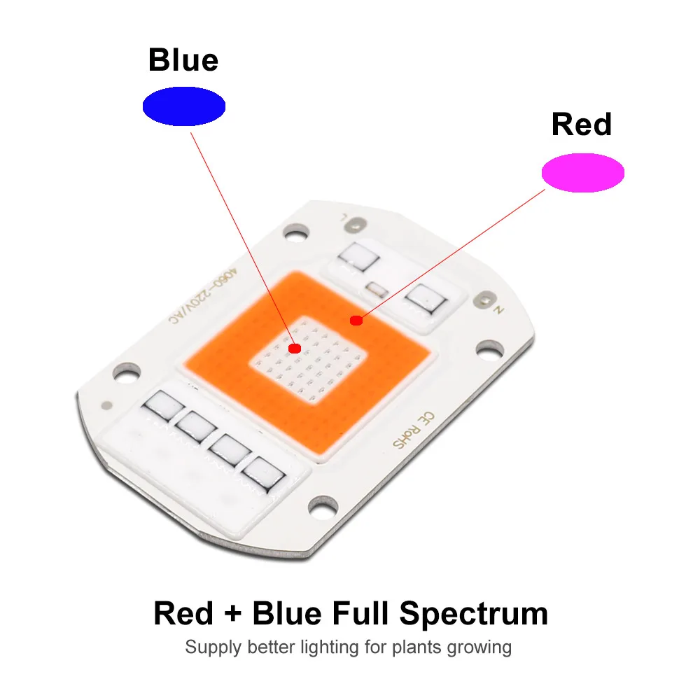 Slide image 168d81f24fde444db606c881a10d5cc2