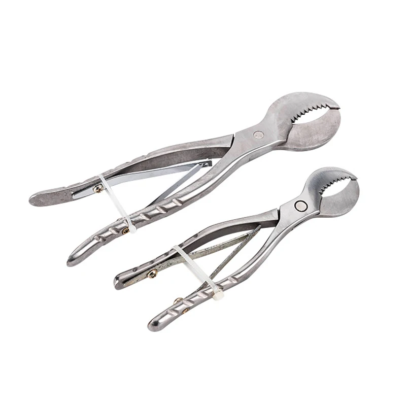 

1 pcs Dental Lab Gypsum Scissors Dental Lab Equipment Dentistry Material tools Stainless Steel Plaster Scissors Option Big/Small