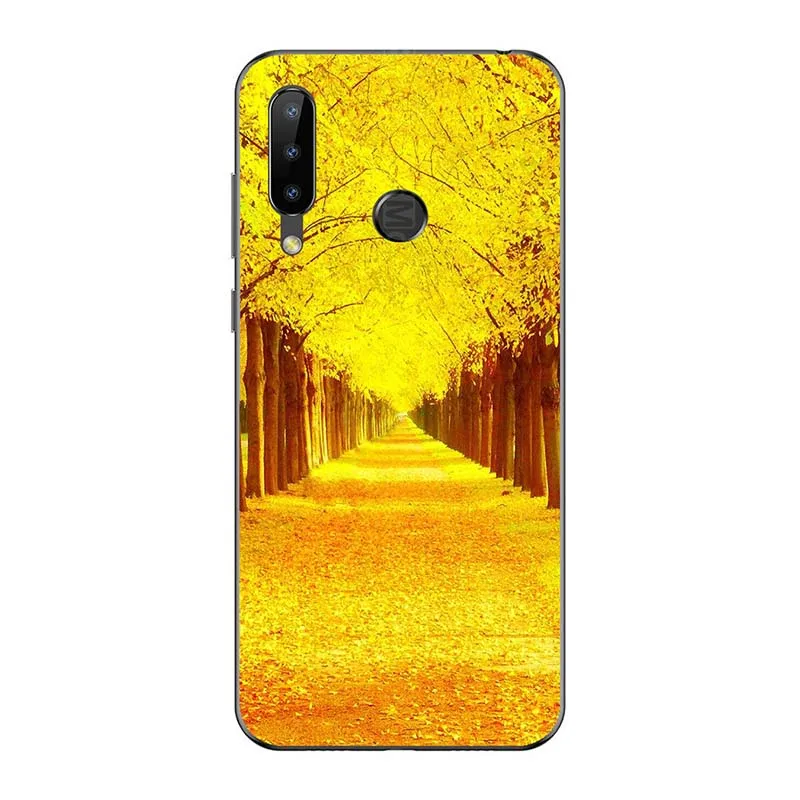 A120 Чехол для телефона Doogee N20 6," Краска Для Doogee Y9 Plus принт Для Doogee Y9Plus разноцветный резиновый Чехол Для Doogee N20 Забавный - Цвет: A120