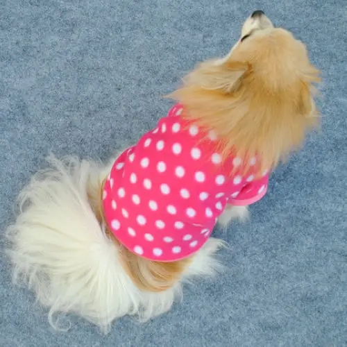 Unique Sweaters For Dogs - The Popular Clothes This Winter