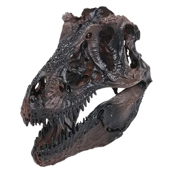 

13cm Dinosaur Tyrannosaurus Skull Resin Fossil Model Collectibles Home Black Home Decoration Crafts