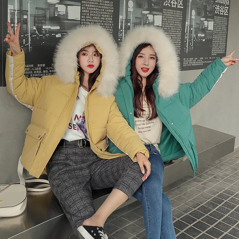 

2019 Winter New Style WOMEN'S Dress INS down Jacket Cotton-padded Clothes Coat Short Puffy Versatile down Coat Cotton-padded Clo