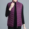 6 Colors New Cotton Vest Women Korean Style Winter Waistcoat Thicken Outerwear Solid Warm Sleeveless Jackets Plus Large Size 6XL ► Photo 3/6