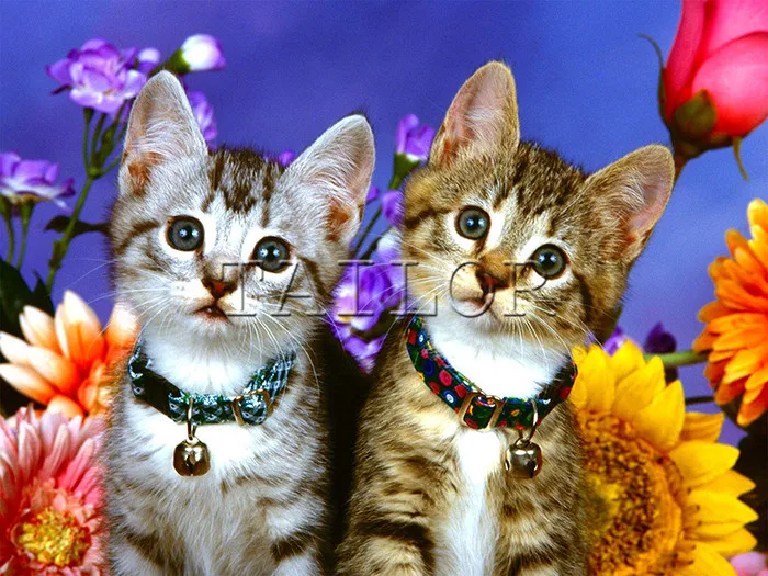 Набор для алмазной живописи квадратная мозаика 5d | Дом и сад