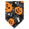 Black pumpkin b