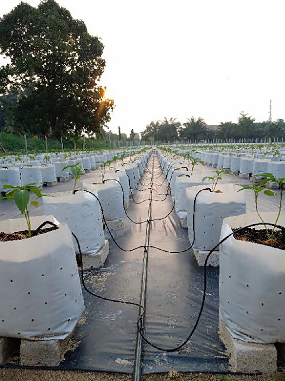 da2cf7508fdeacc4f42a8aa852bbccfc