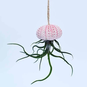 

3PCS Small Ornaments of Sea Shells and Sea Urchin Shells (Excluding Plants)
