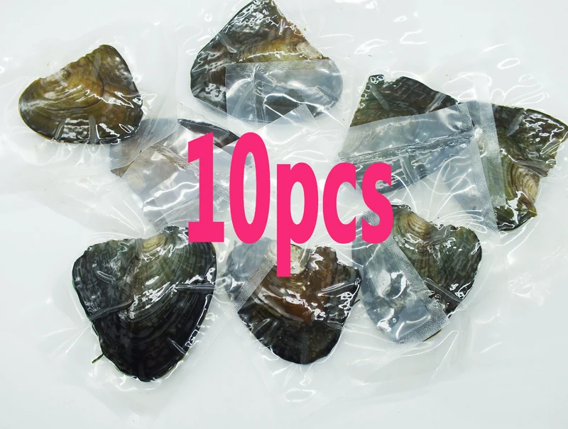 10PCS  Vacuum pack Oyster Wish Freshwater Pearl  (oyster pearl color is not sure)  6MM Pearl. HAVE Very beautiful gift