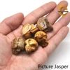 Picture Jasper