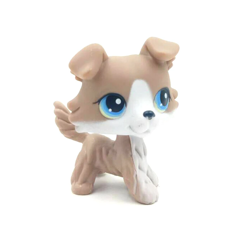 

LPS CAT Old original Animal Littlest pet shop toys Bobble head dog #67 grey & white collie with blue eyes real rare anime toy