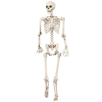

40cm White Jointed Skeleton Halloween Scary Skull Props Model Accessories Plastic Human Body Figure Decoration Movable Toy