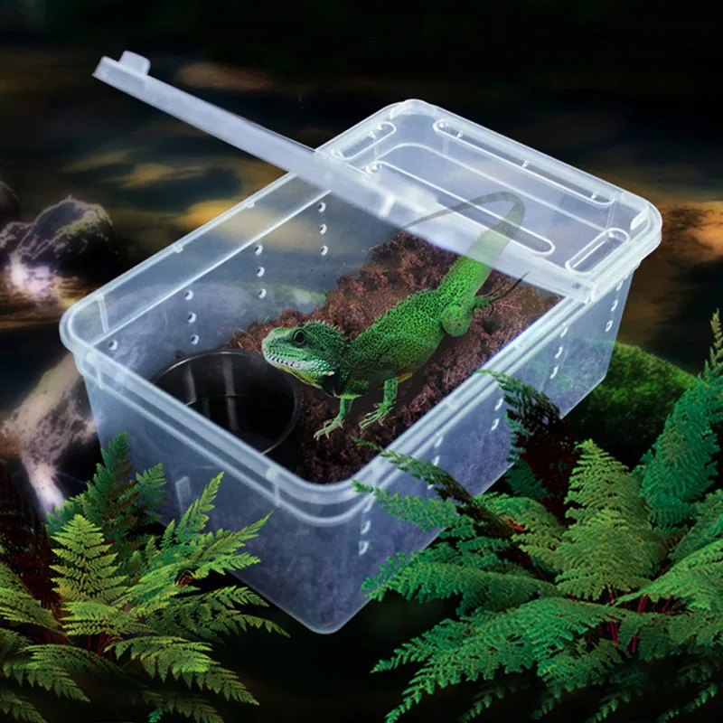 Reptile Insert Box Breathable Live Breeding Feeding Case Plastic Transport For Lizard Reptiles