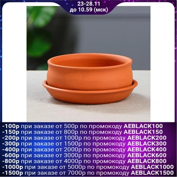 

Pot for cacti and succulents "Bonsaynitsa", Ø 15 cm 5162997