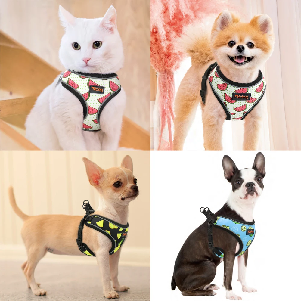 Cute Fruit Small Dog Harness Vest Print Cat Puppy Harness Mesh Reflective Harness for Small Dogs Cat Chihuahua Yorkshire