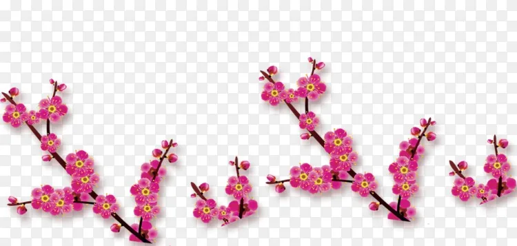 梅花海报水墨画水彩画梅花png图片素材免费下载 图片编号 Png素材网