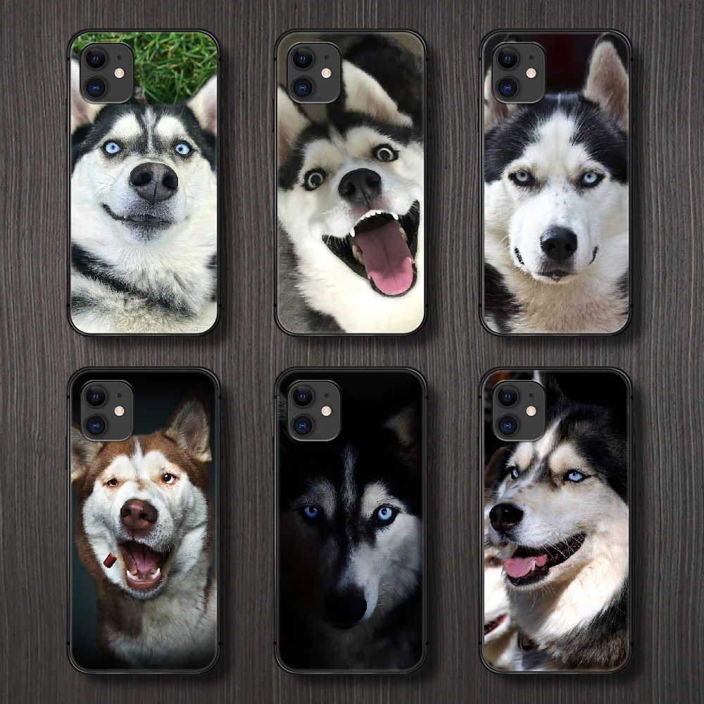 Funny Husky dog cute Phone Case Cover Hull For iphone 5 5s se 2 6 6s 7 8 12 mini plus X XS XR 11 PRO MAX black Etui 3D back | Мобильные